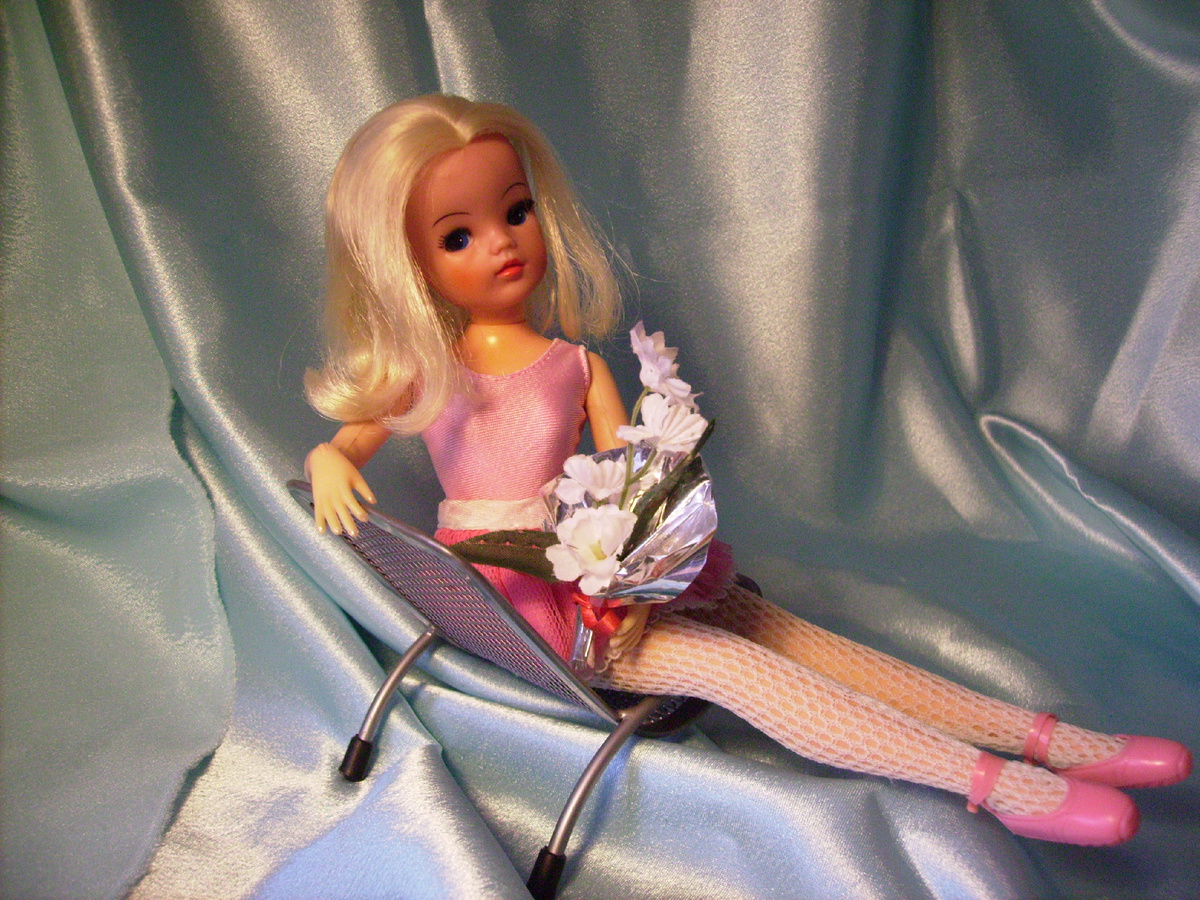 Синди от Педигри