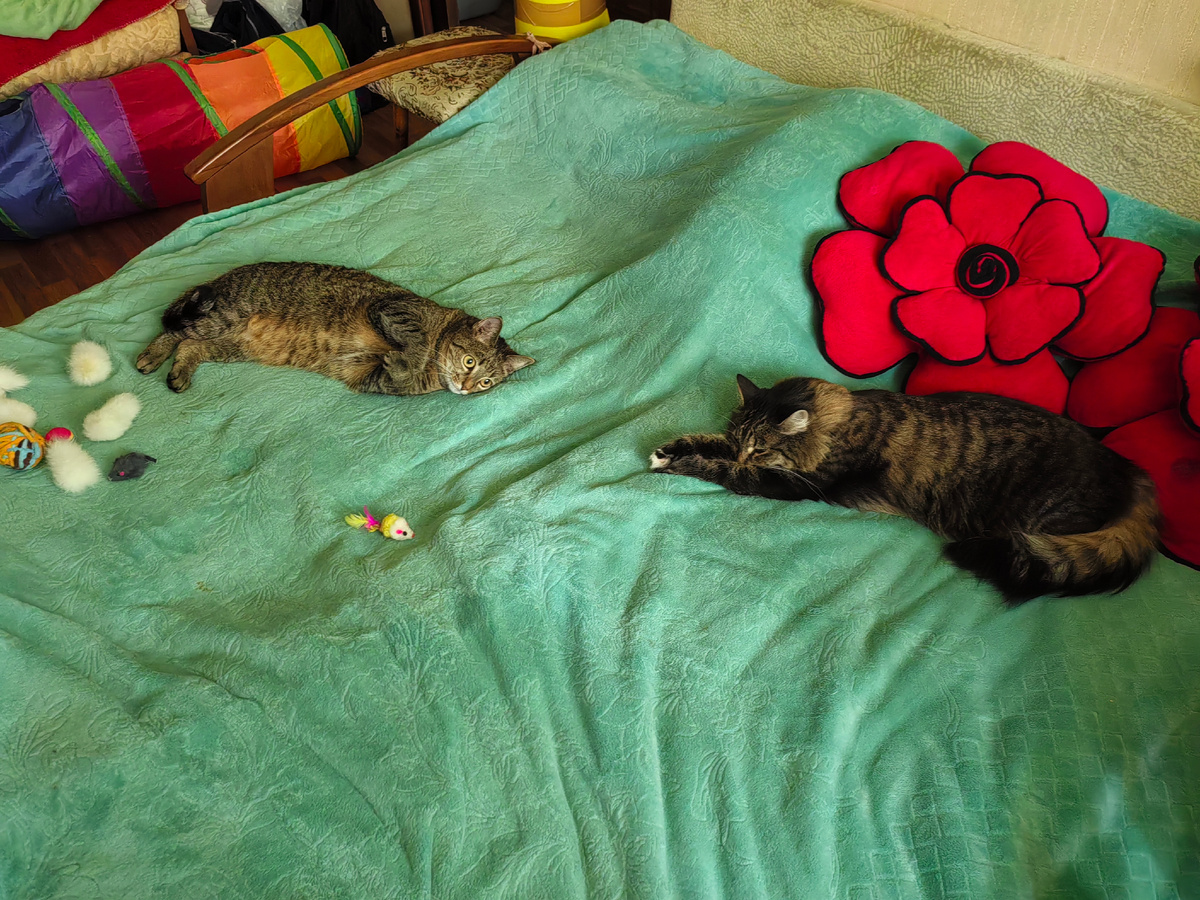 Слов будет много;)