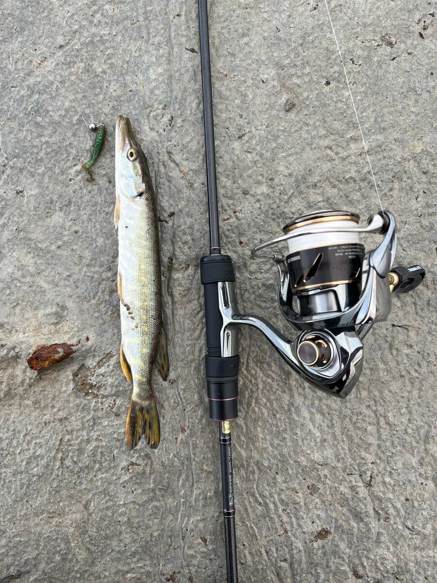 👤 Михаил 🍅 Ивлев