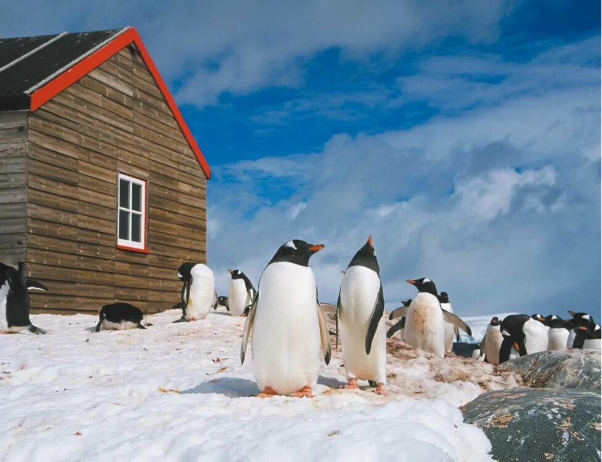 Изображение из открытых источников