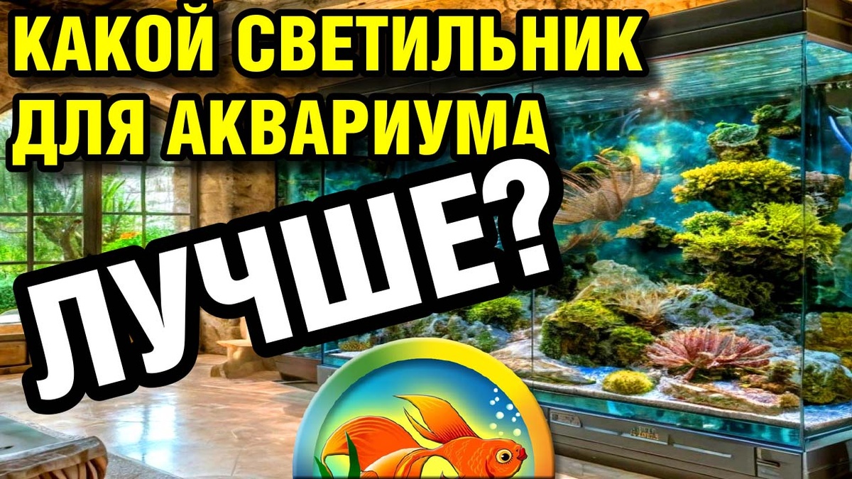 Какой светильник лучше? - профессиональный свет для любого аквариума в наличии и на заказ.