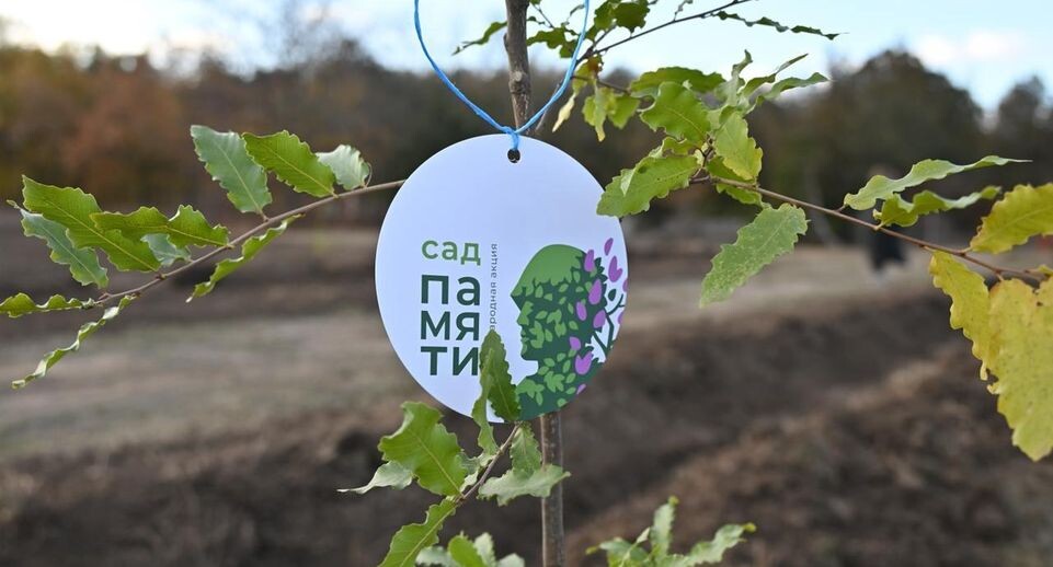    пресс-служба губернатора Херсонской области