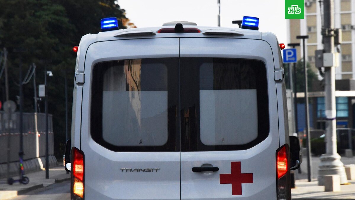    Фото: РИА Новости © 2024, Наталья Селиверстова