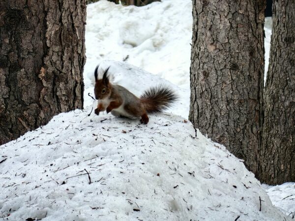    Фото: Никита Чудин. UG.RU