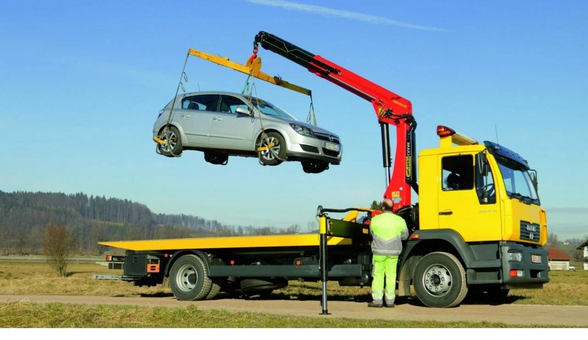 Фото из поиска Яндекс.