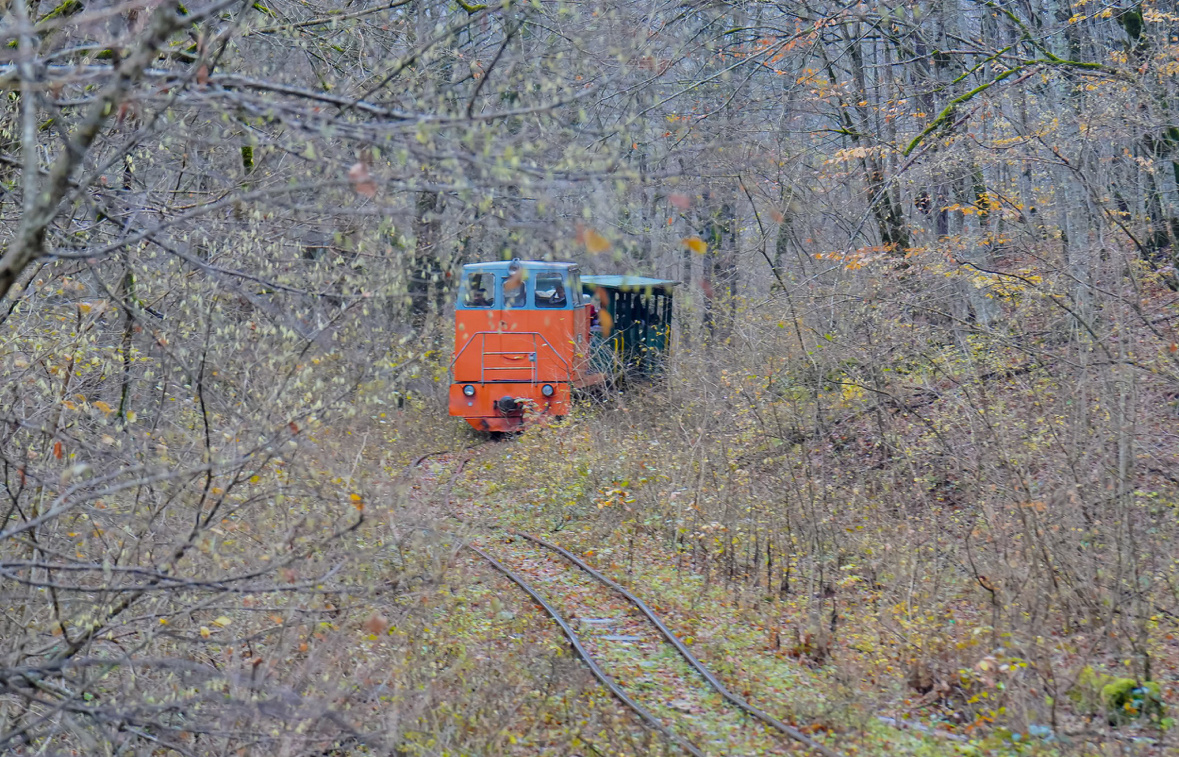 Узкоколейка. 16 ноября 2024 г.