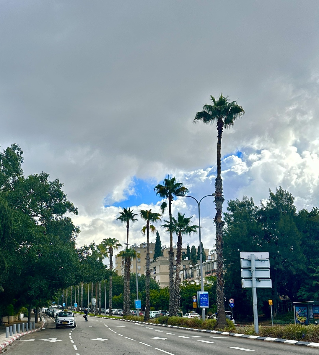 Фотография сделана автором канала