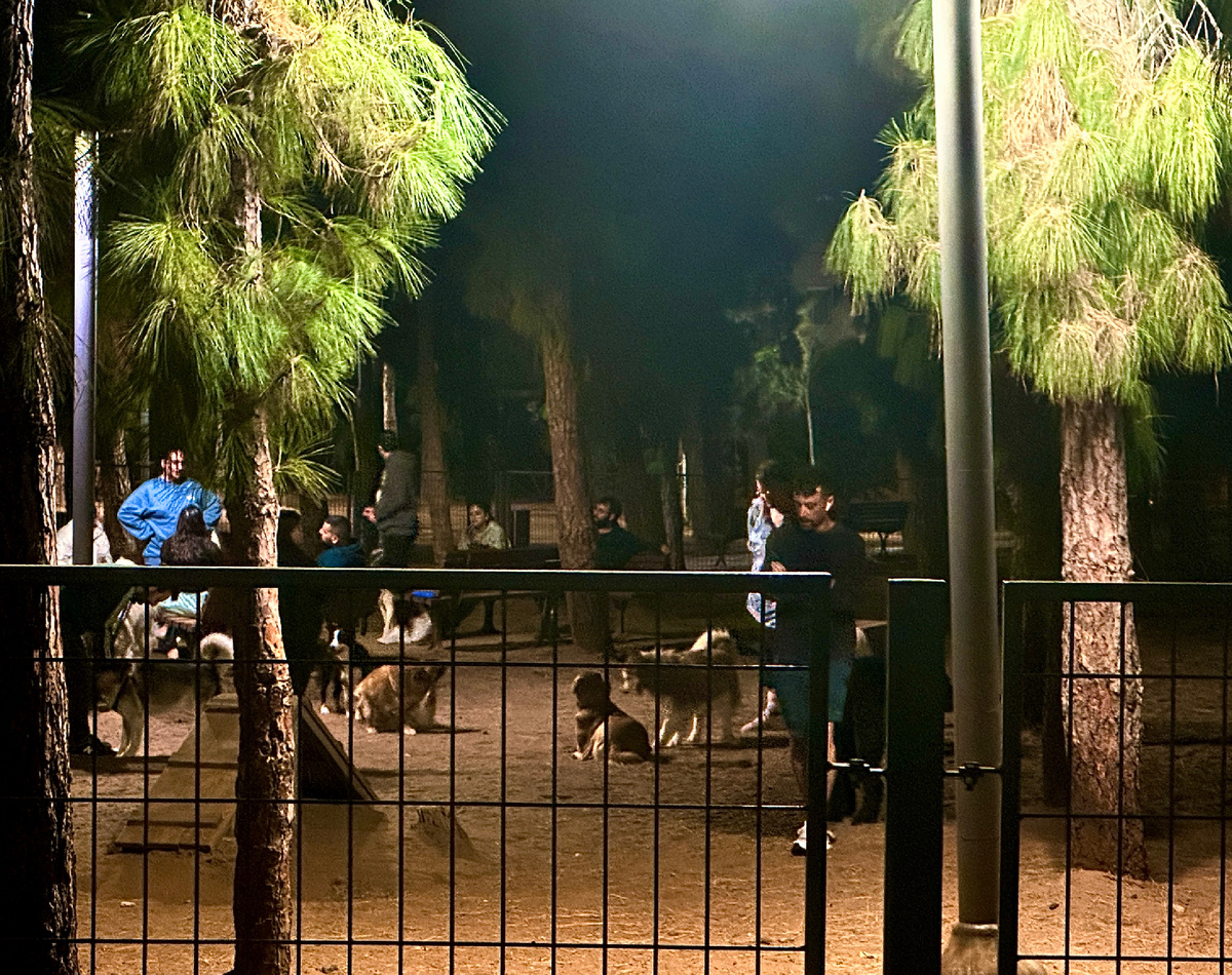 Площадка для собак в Тель-Авиве