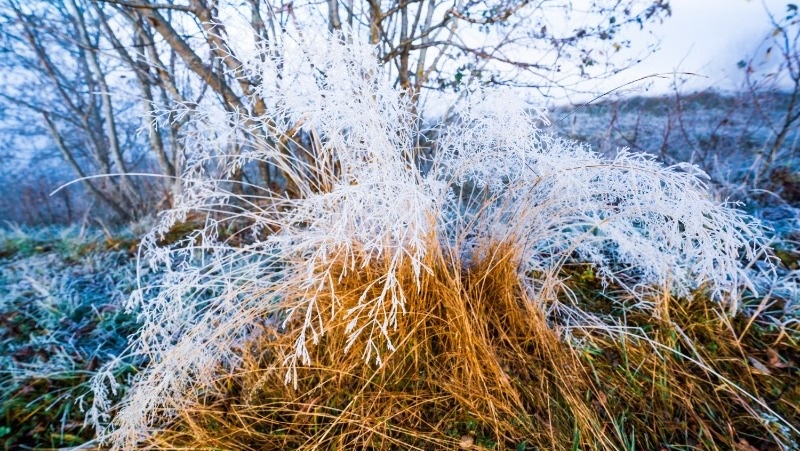Фото: @youranedopekin / freepik.com