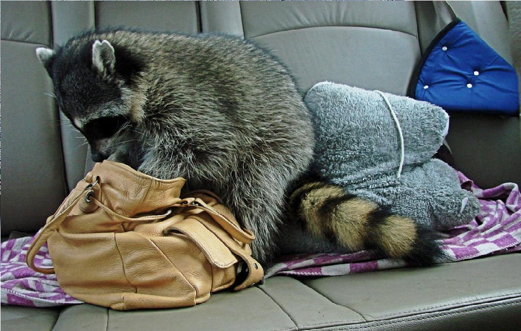 Я тут хозяин