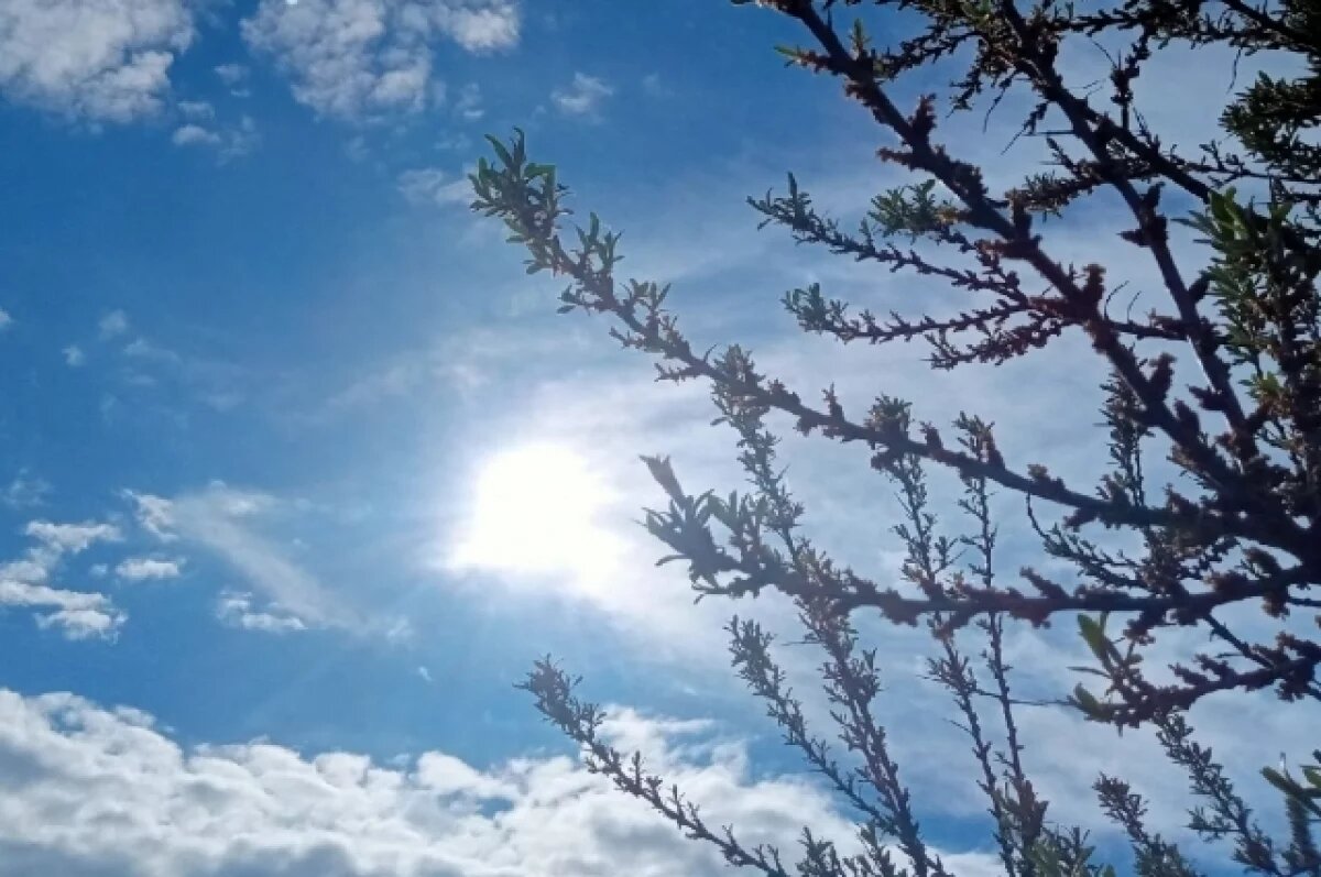    За неделю до зимы столбик термометра в Новосибирске покажет -2