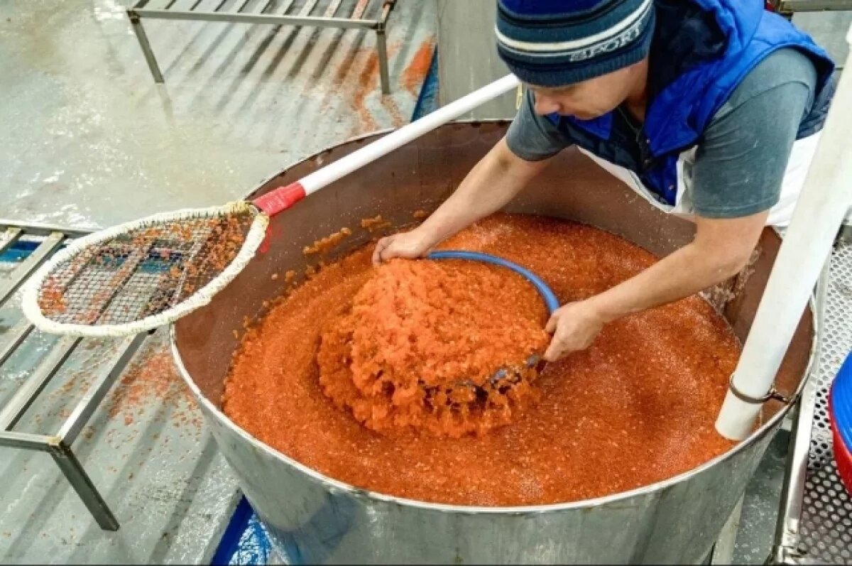    Немаркированную рыбу, икру и мясо краба на 10 млн изъяли на Камчатке