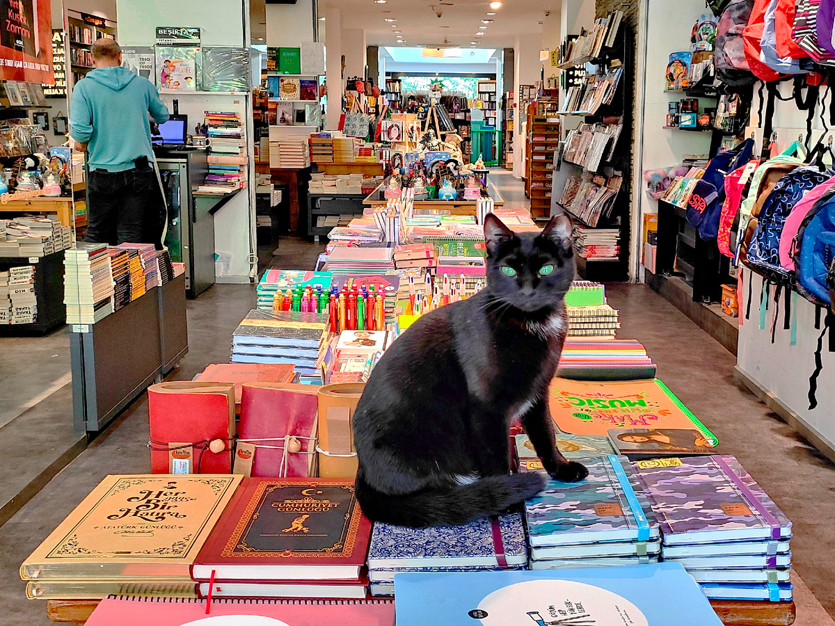 Стамбул, улица Бахарие