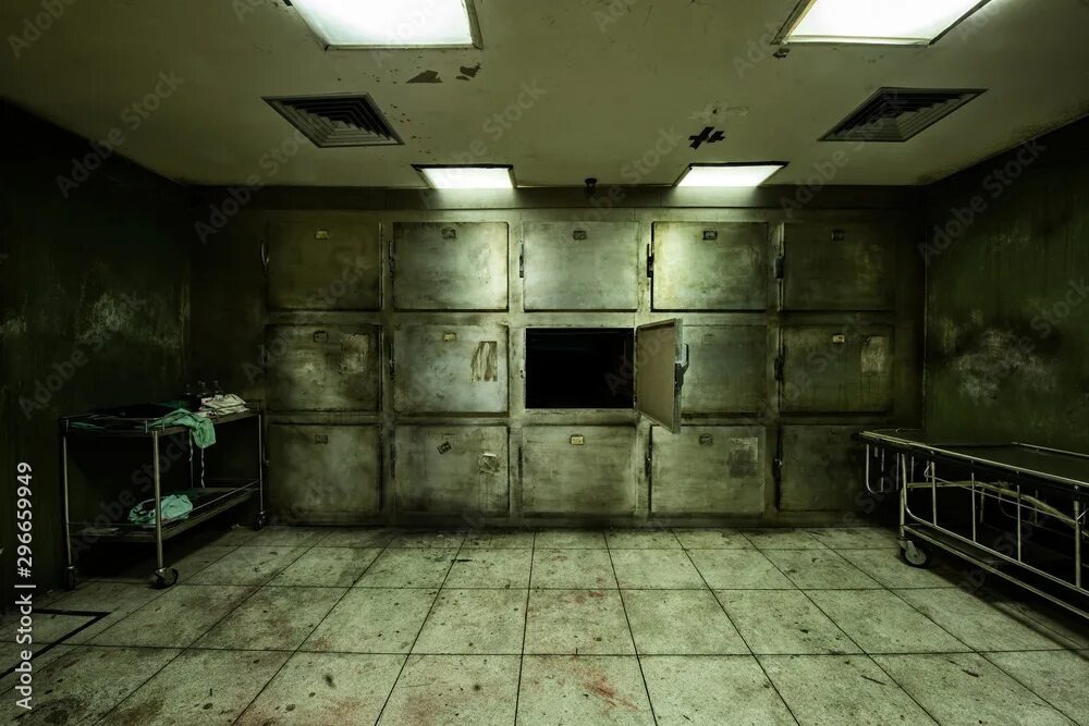 Изображение взято из открытых источников интернета. 