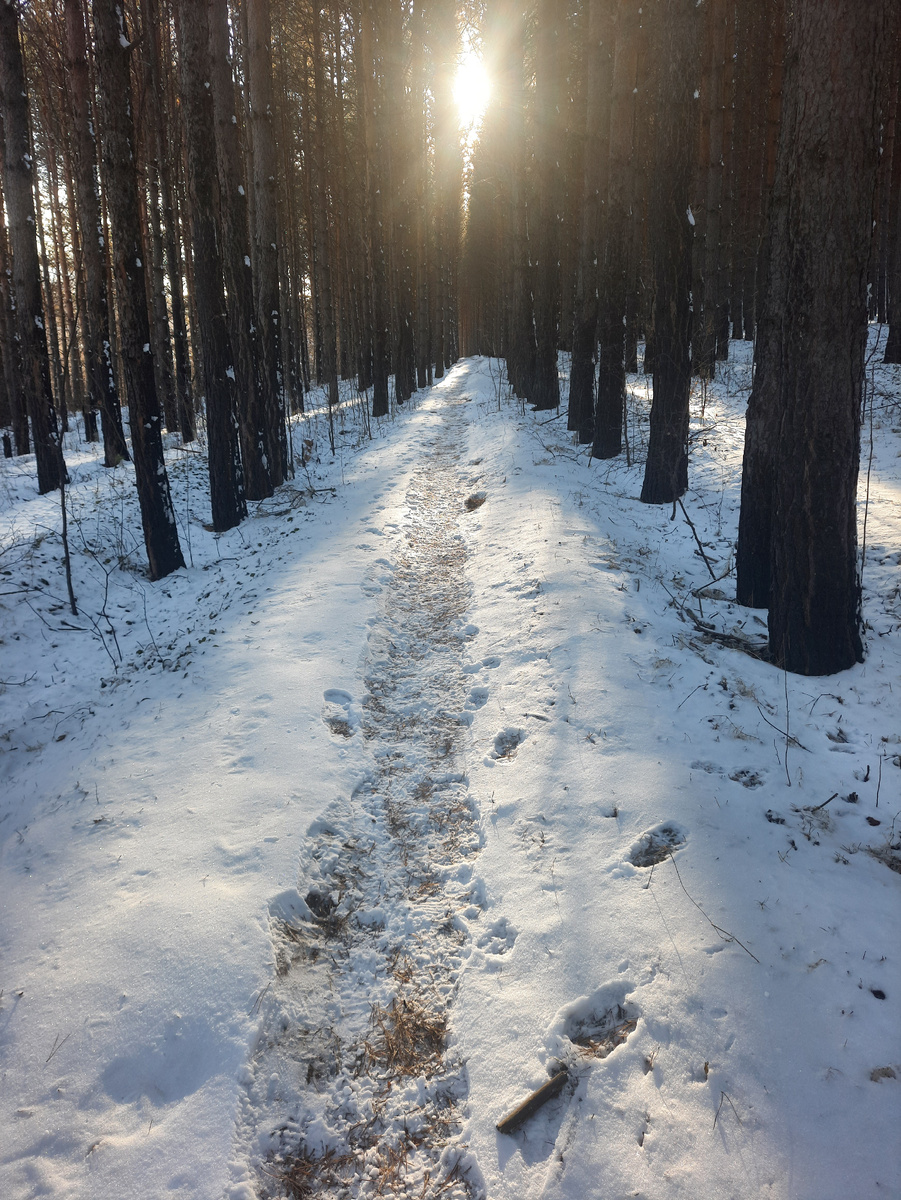 Тропинка к солнцу.Фото автора.