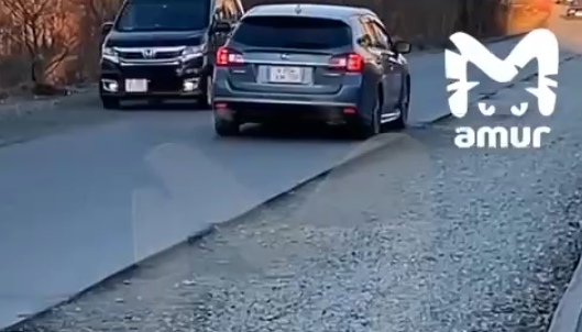    Источник фото: Amur Mash