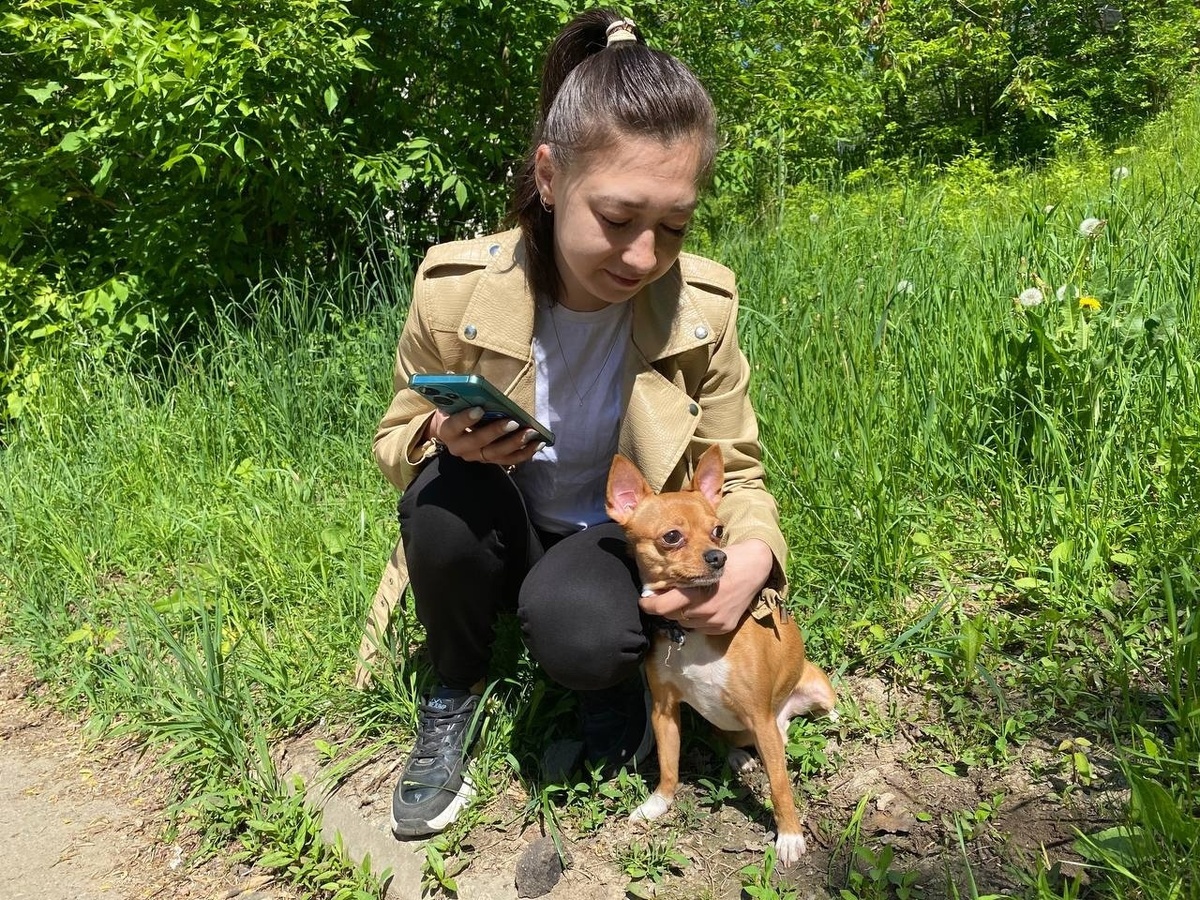 Мои самые любимые 