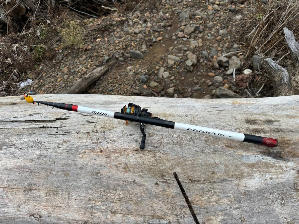 DAIWA PROTEUS LAKE TROUT (3,2 м)