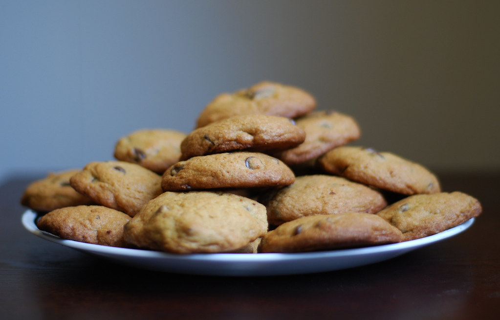 Фото: Rachel Ford James / Wordpress.org / openverse