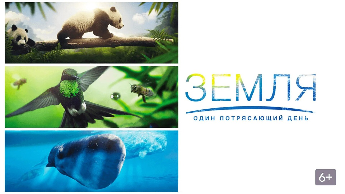 Фото : culture.ru