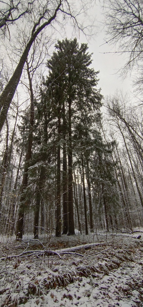 Личное фото