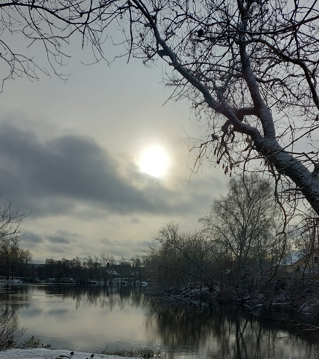 Фото сделано в г.Тихвин (ноябрь 2024г.)