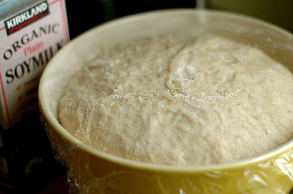 Фото: a.pasquier / Wordpress.org / openverse