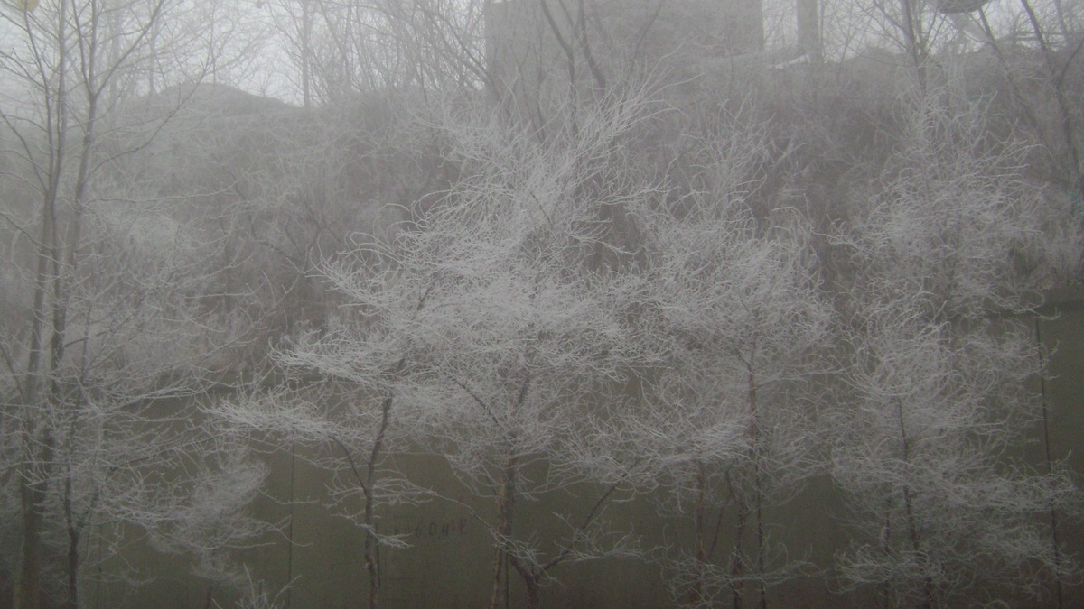     Источник: vostokmedia.com