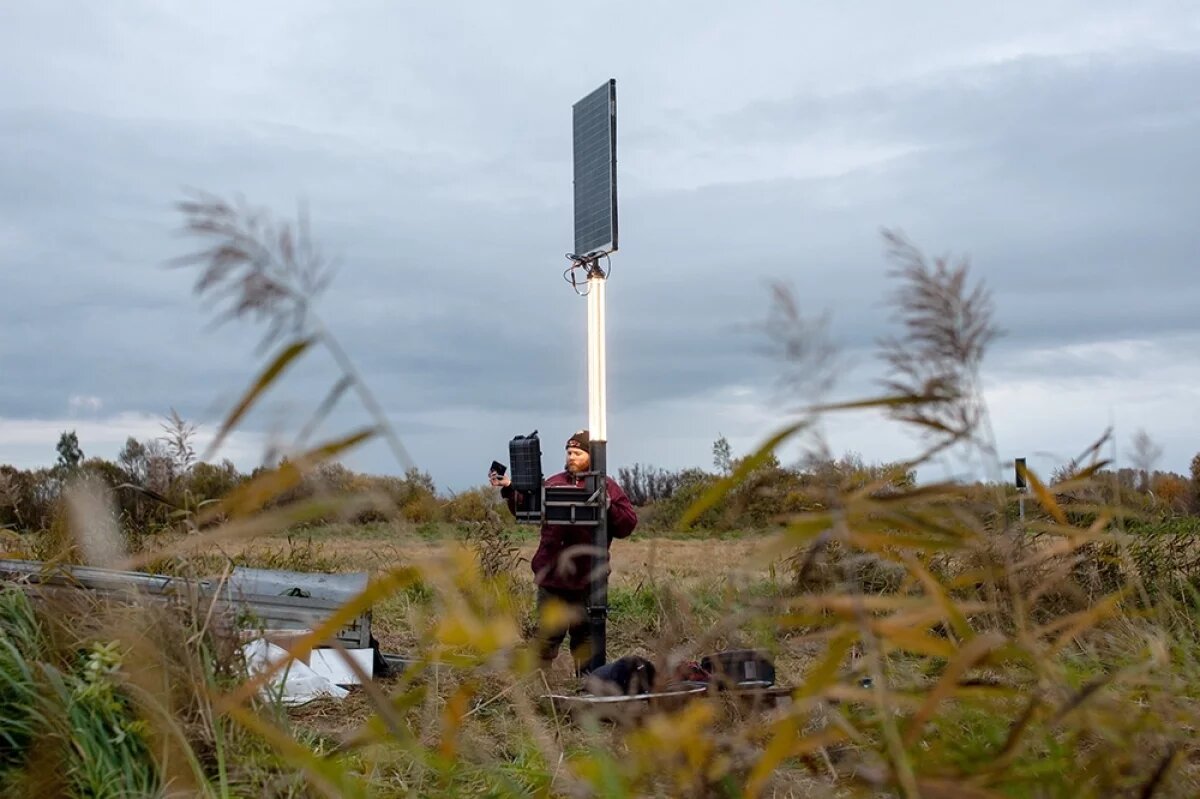    Васюганские болота поглощают за год до 10 млн тонн углекислого газа и производят около 4 млн тонн кислорода.