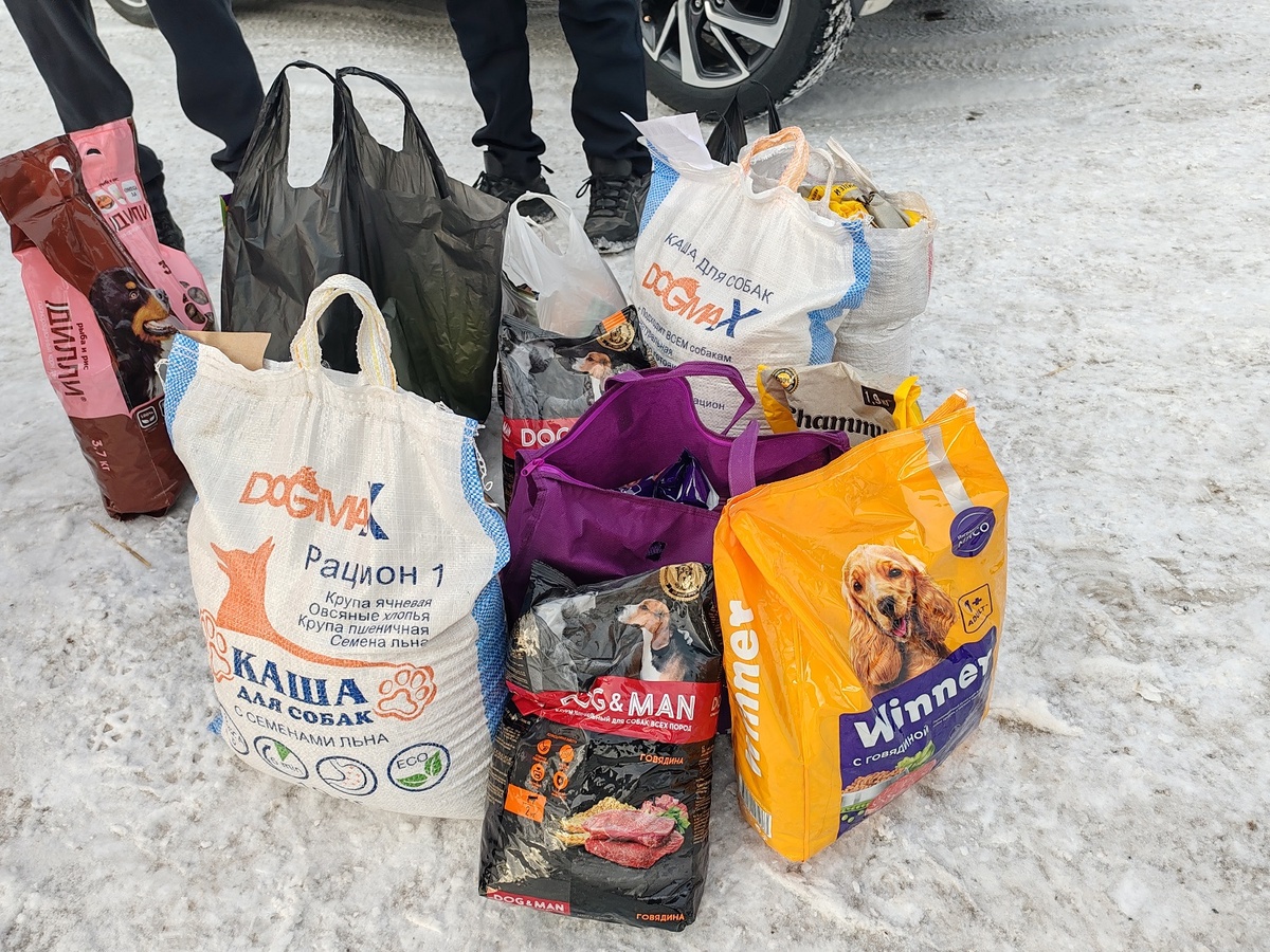 Фото: Пресс-служба БрАЗа