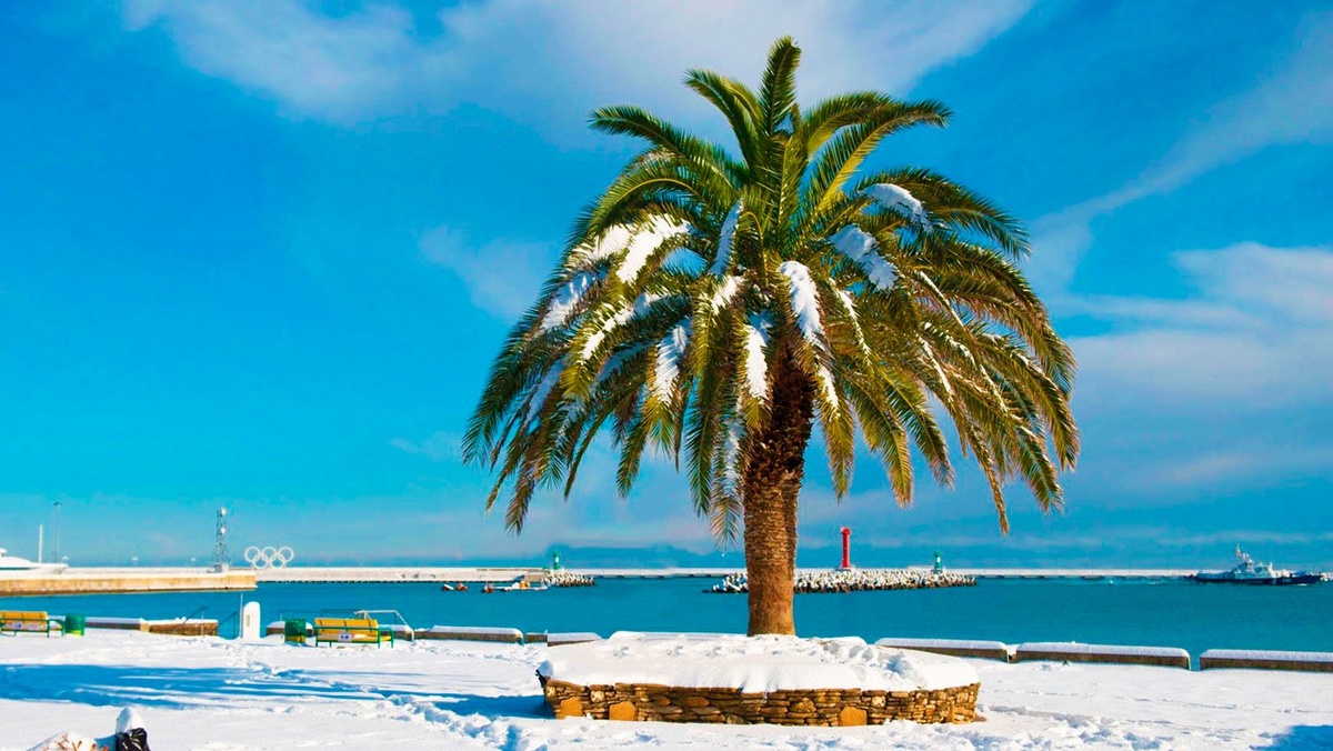 Сочи зимой. Фото: utyug.info/