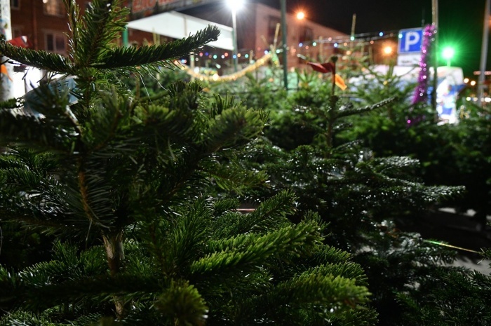    администрация Краснодара