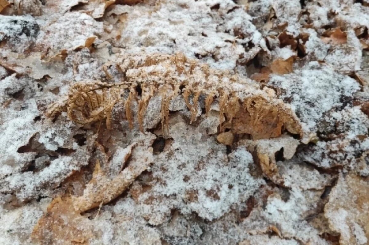    На погоду в Коми до 22 ноября будут влиять атлантические циклоны