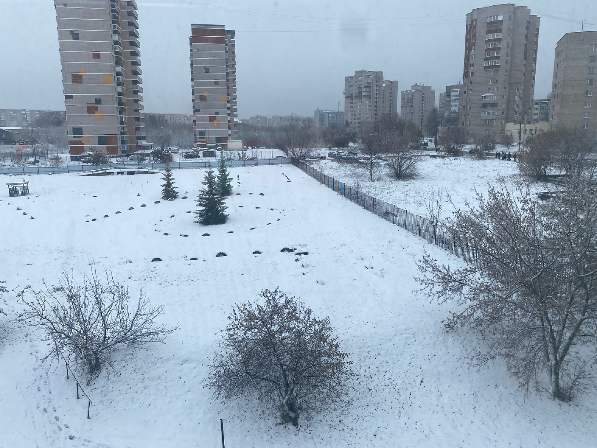 Снег… когда он еще был