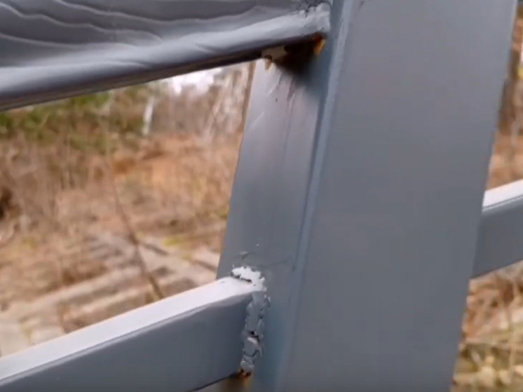     Фото: скрин видео со страницы Дмитрия Афанасьева в "ВК"