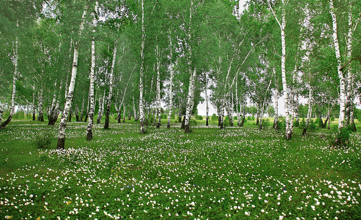 Фотография, стихотворение Василия Глцкого