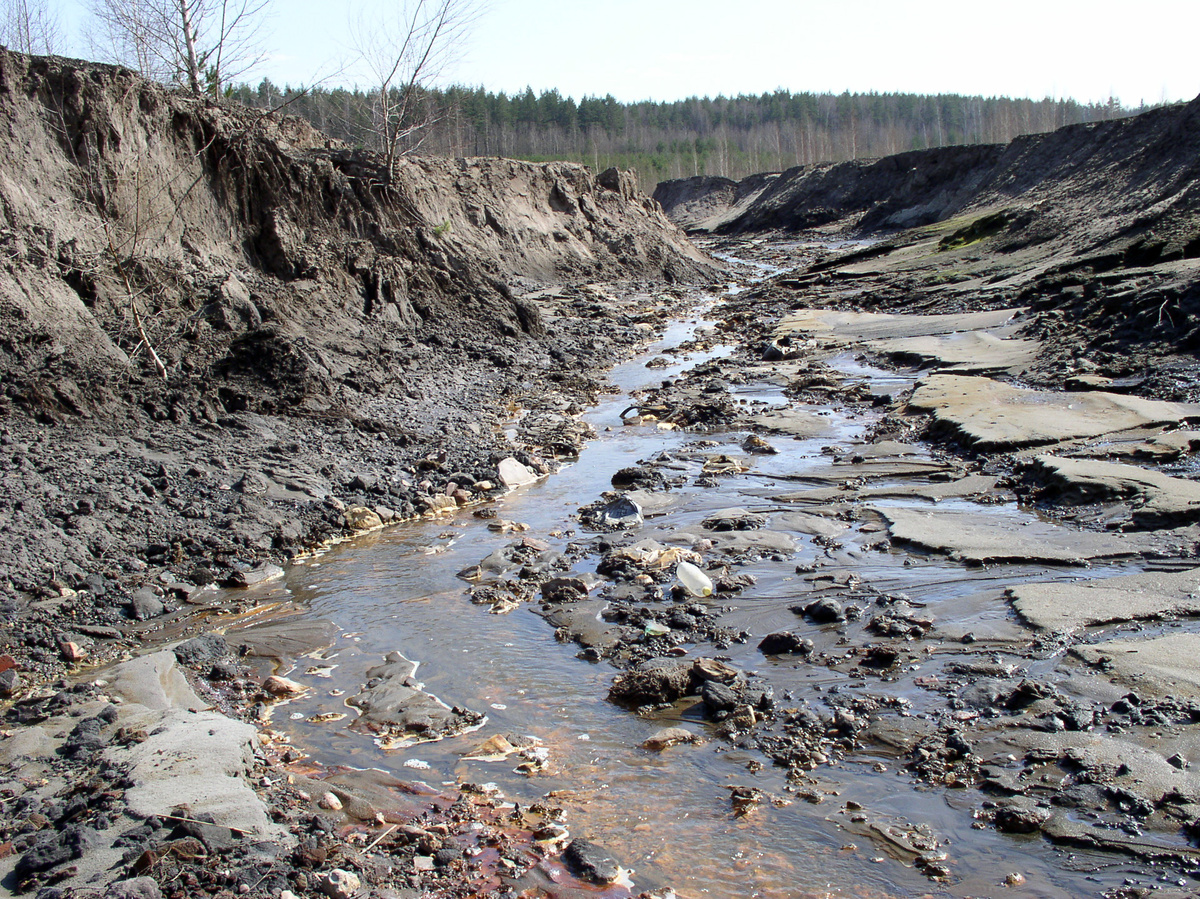 Отвалы ЛФР по состоянию на 2005 Сейчас все заросло...