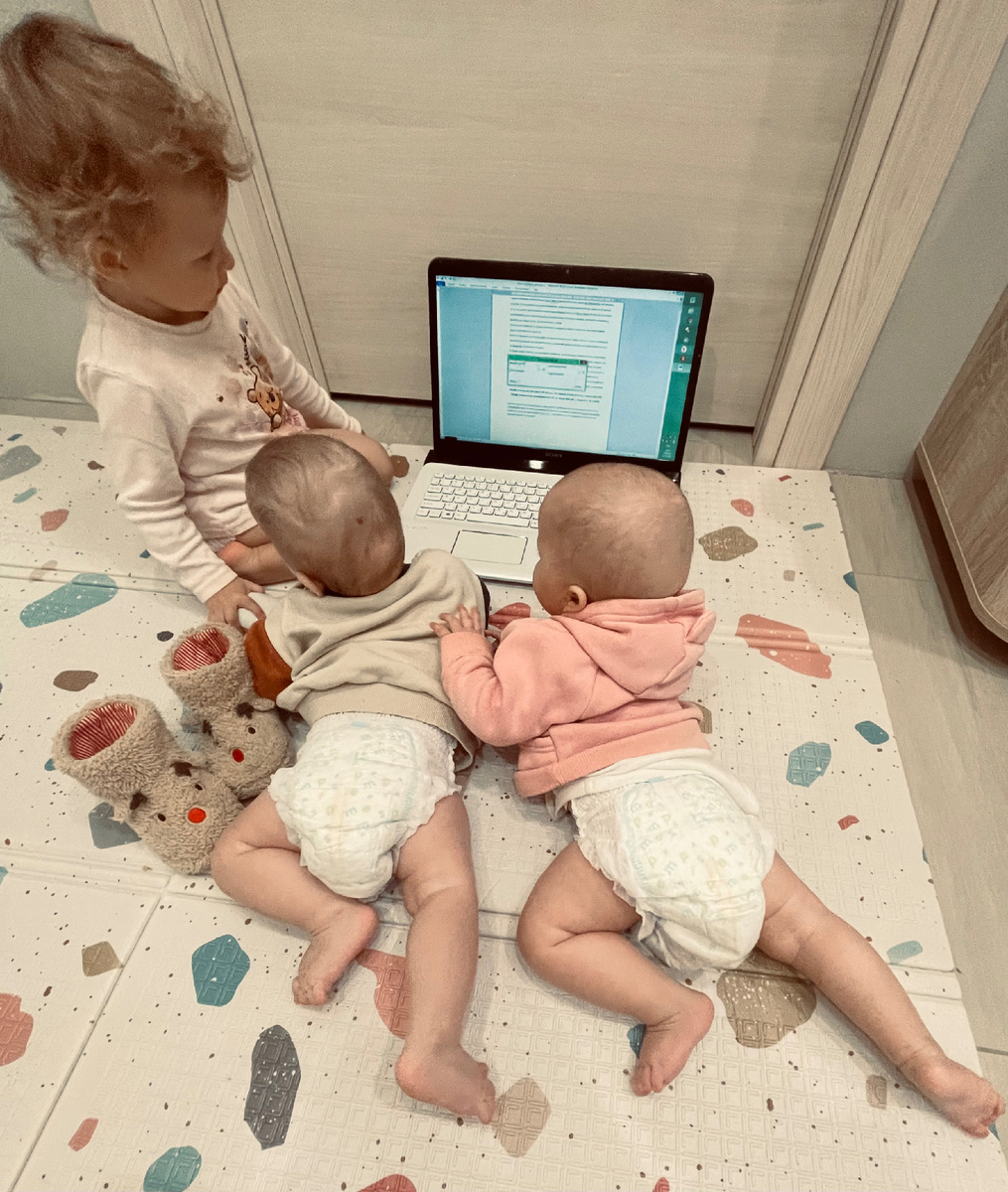 Команда заек работает над новой статьей