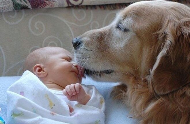 Фото из Яндекса 