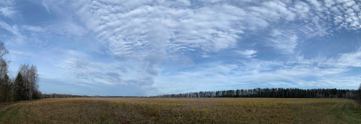 панорама, склеена из пяти снимков