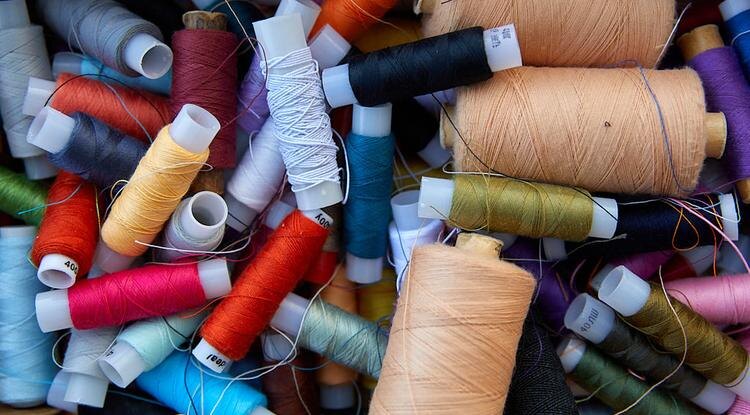 Фото: Елена Журавлёва