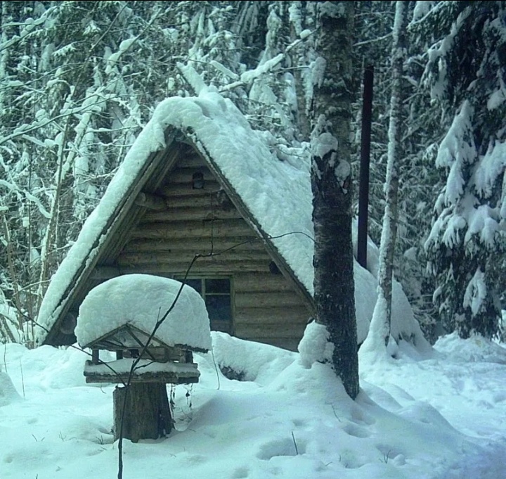Это тоже дядина избушка в лесу. Но не в Загорье, еще одна.