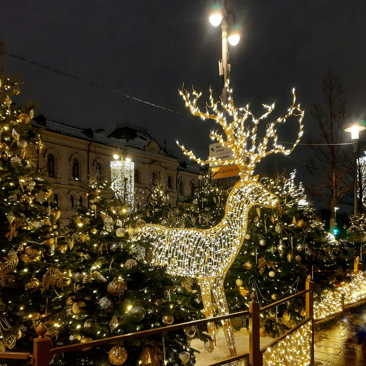"Умчи меня олень - в свою страну Оленью". Москва. Новая площадь. 2024 год.