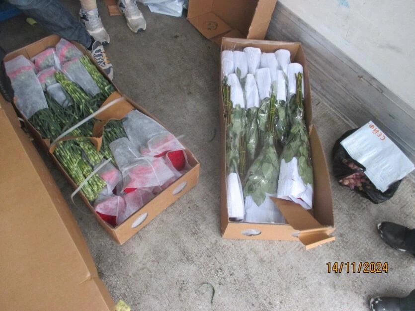 Фото: пресс-служба Россельхознадзора