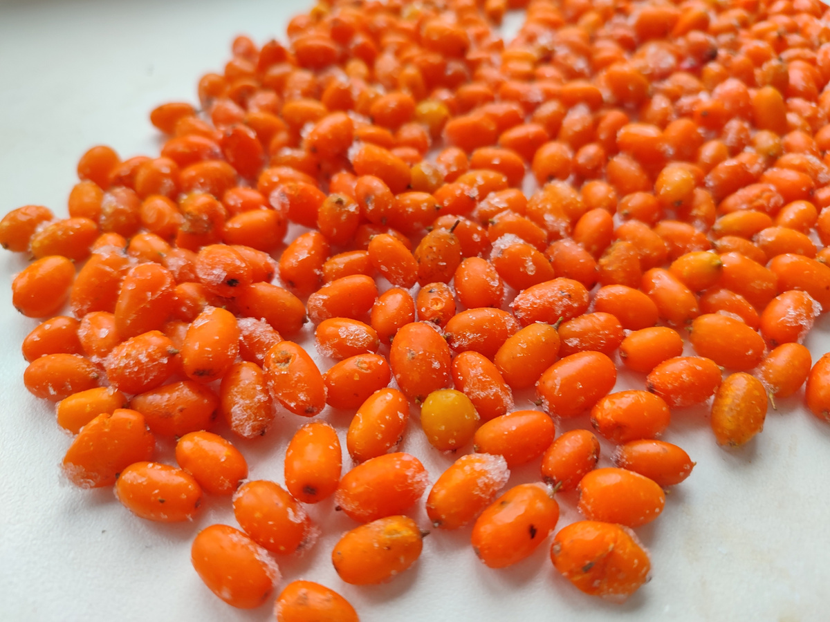 Только из морозилки.