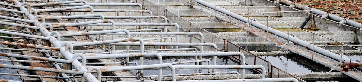    Фото: Сергей Кудрин