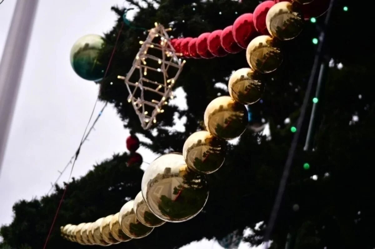    Названы адреса елочных базаров в Краснодаре