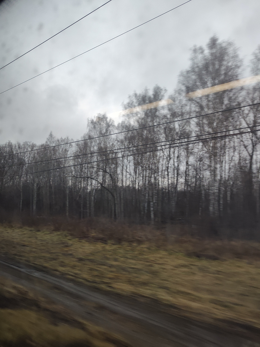 За окном поезда