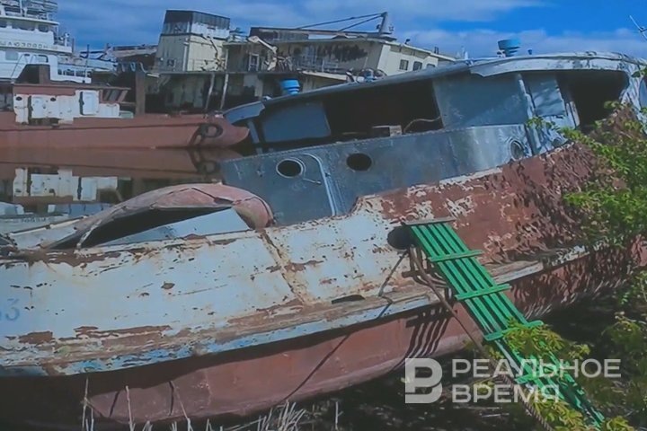 Фото: Ирина Плотникова