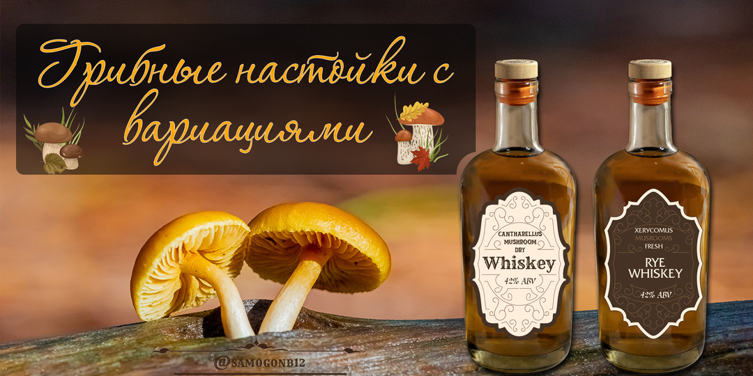 Грибные настойки с вариациями